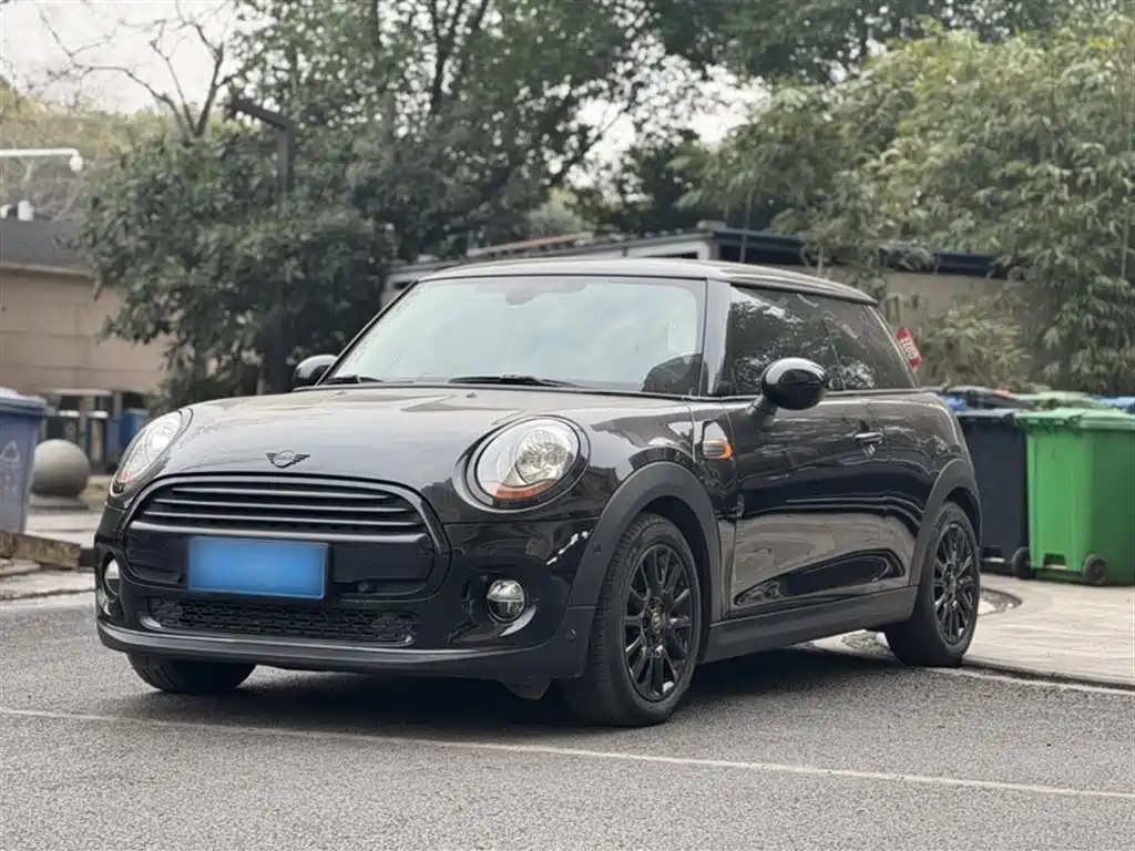 Mini Mini 2018