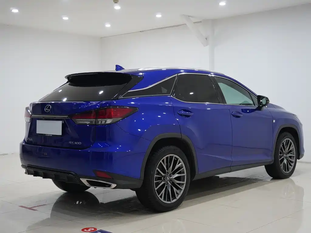 Lexus RX 2020 300 F SPORT
