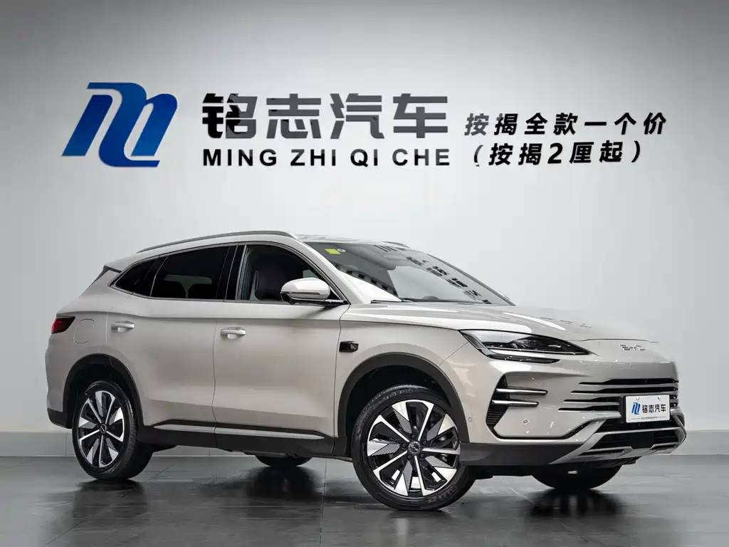 BYD SONGJIANG NEW ENERGY