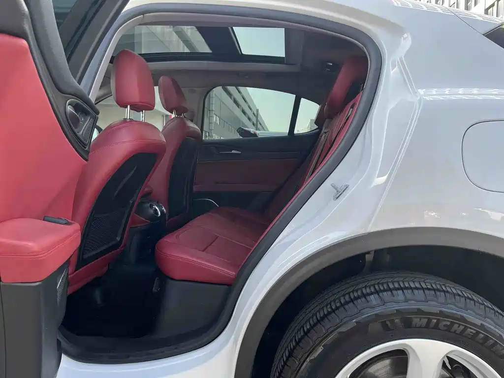 Alfa Romeo Stelvio 2.0T 200HP Elite Edition, фото 11