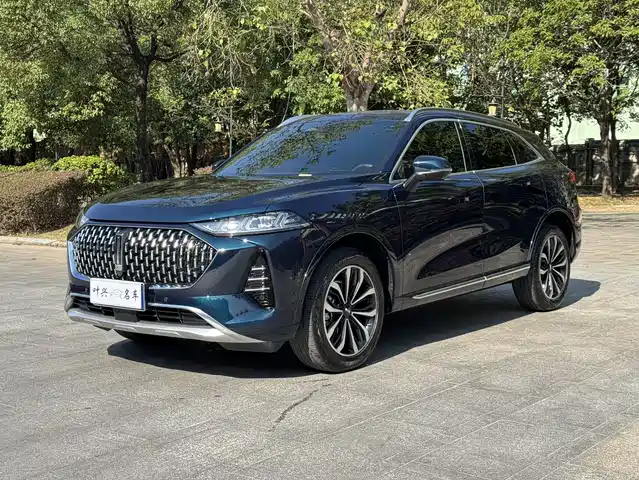 WEI PAI WEI BRAND MOCHA 2021