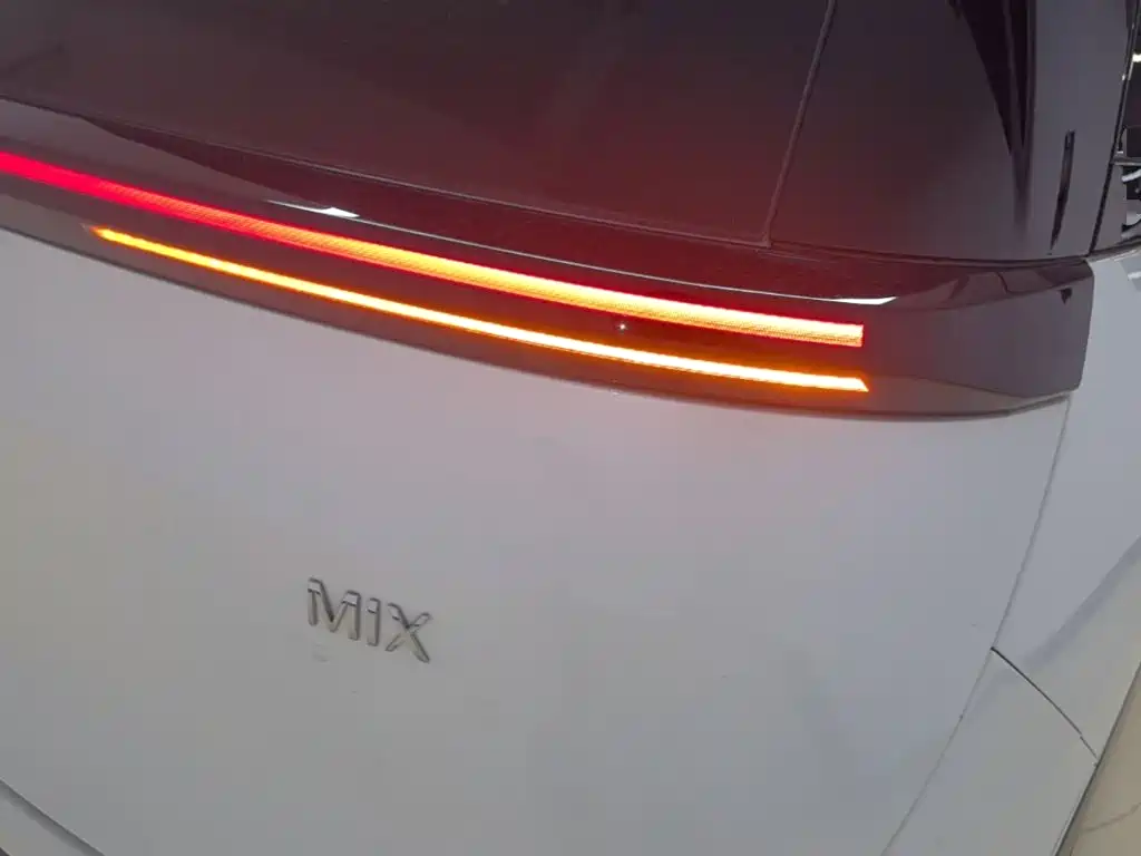 Zeekr Mix 2025 Smart Drive