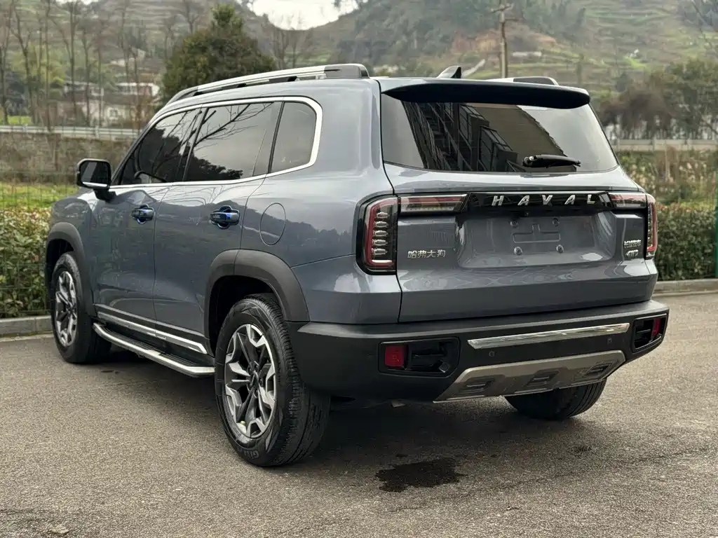 HAVAL BIG DOG