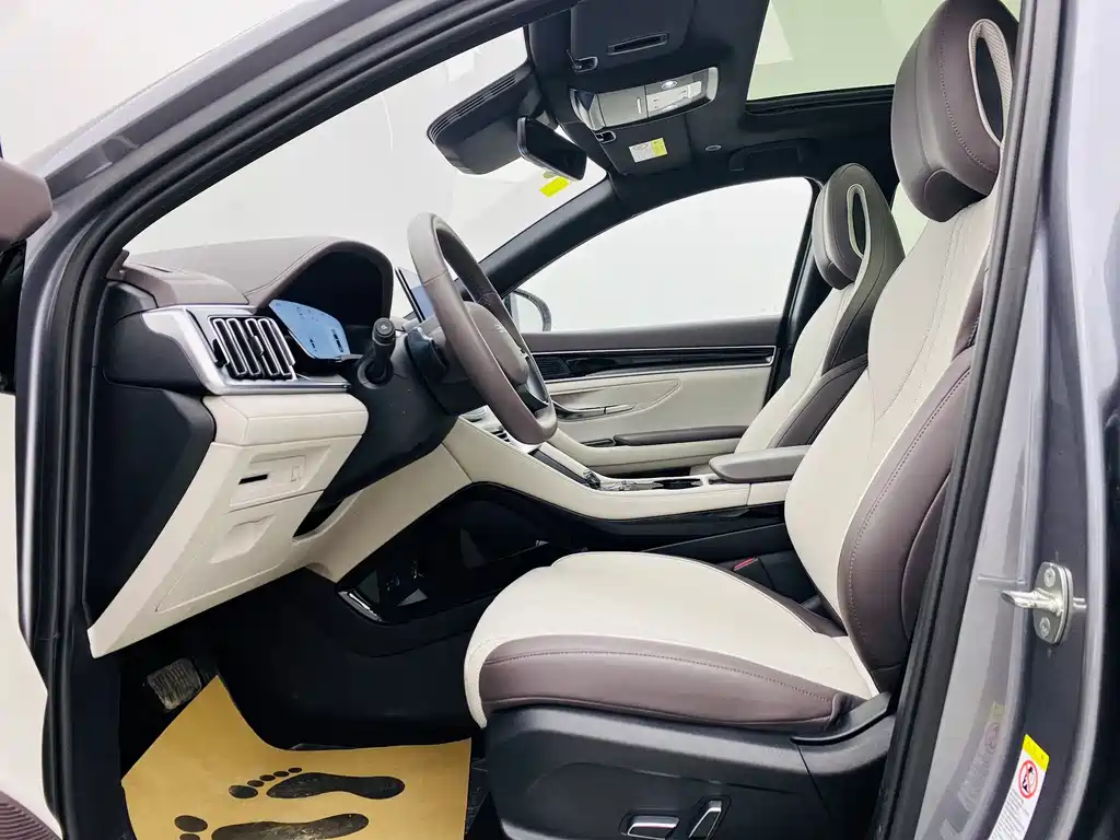 BYD SONGJIANG NEW ENERGY