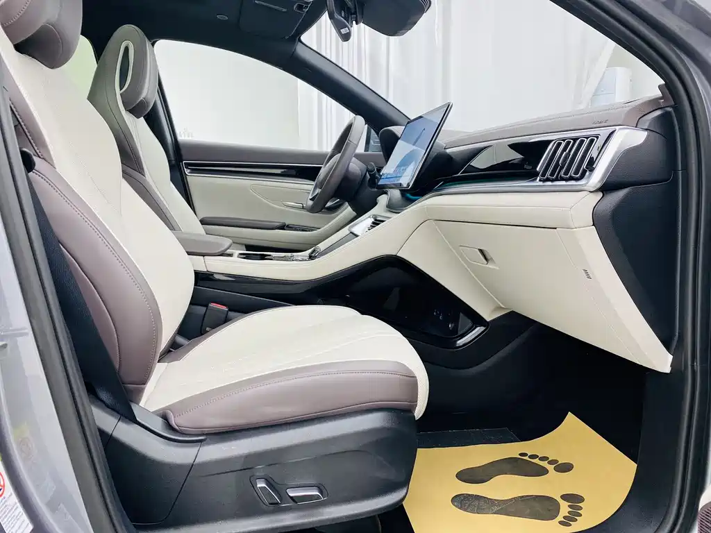 BYD SONGJIANG NEW ENERGY