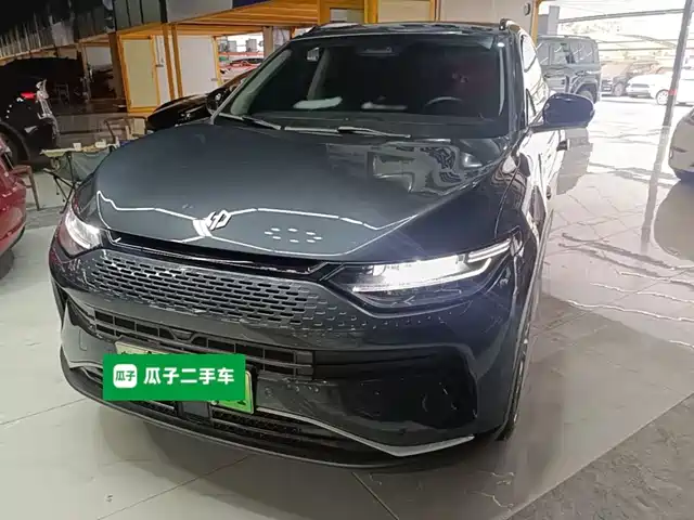 2023 Leapmotor C11
