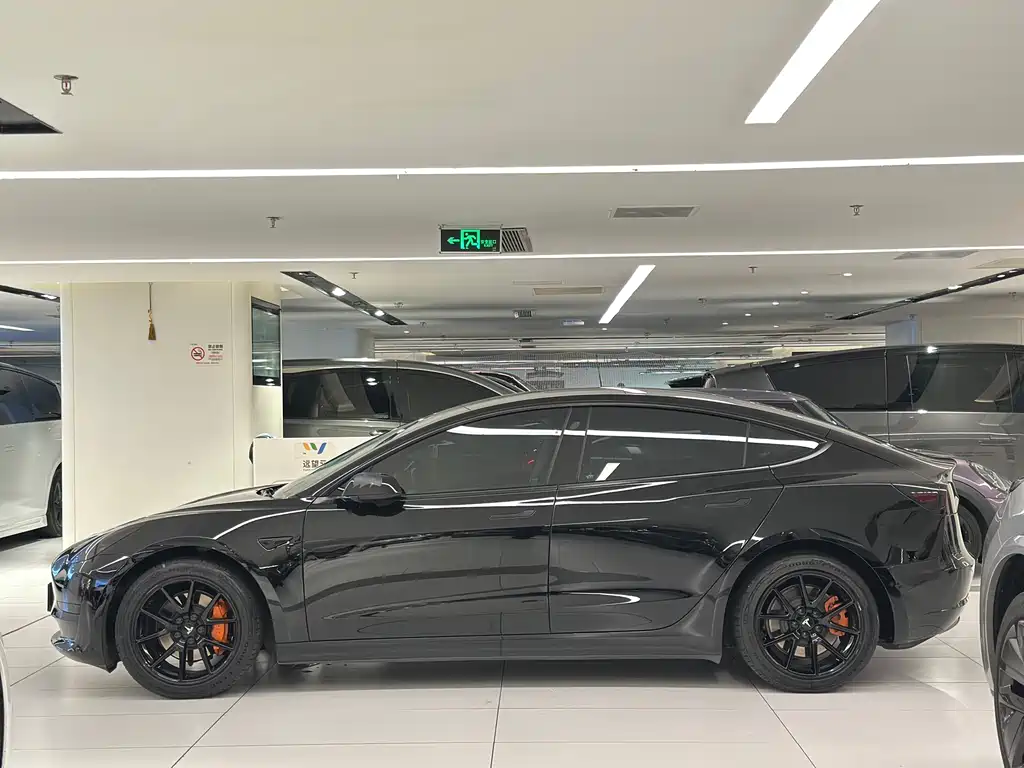 Tesla Model 3 2021 3D6