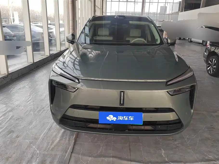 WEI PAI WEI BRAND BLUE MOUNTAIN