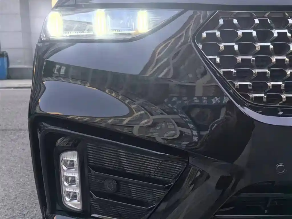 WEI PAI WEI BRAND VV7