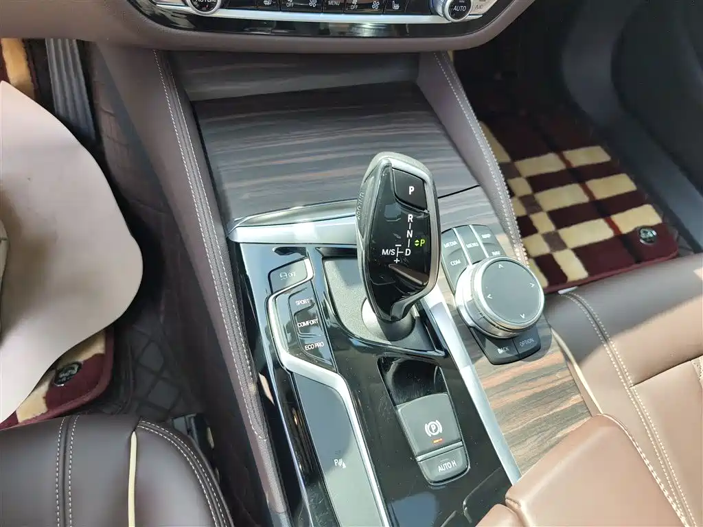 BMW 5 Series 5 2020 530Li Lead Luxury