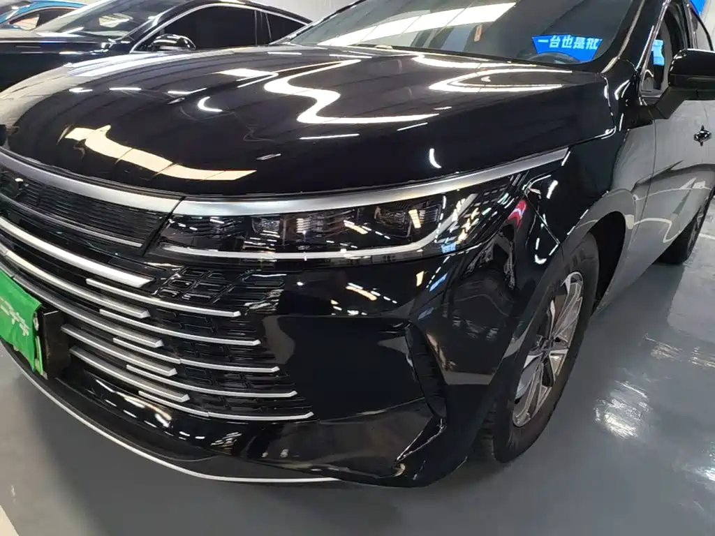 BYD Destroyer 05 — миниатюра 24