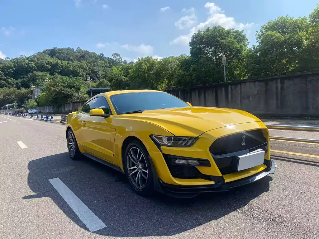 Ford Mustang — миниатюра 3