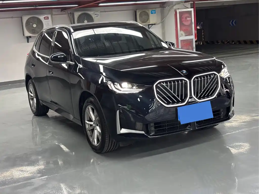 BMW X3 — миниатюра 3