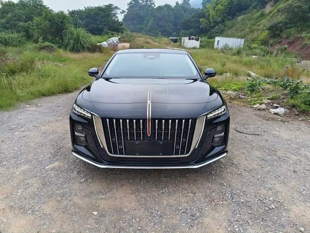 Hongqi Hongqi H5 — миниатюра 2