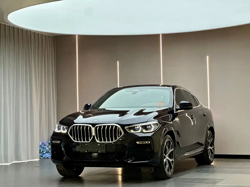 BMW X6 2021 xDrive40i Premium M Sport