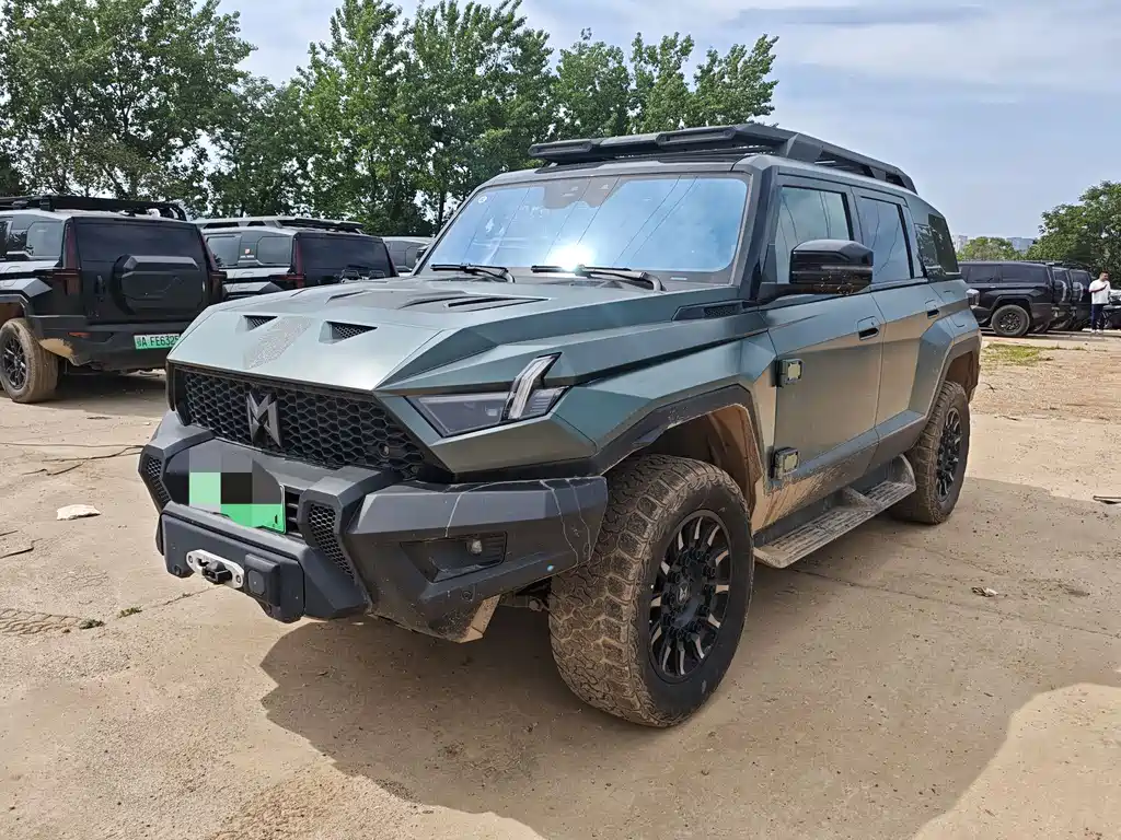 Mengshi Mengshi 917 2024