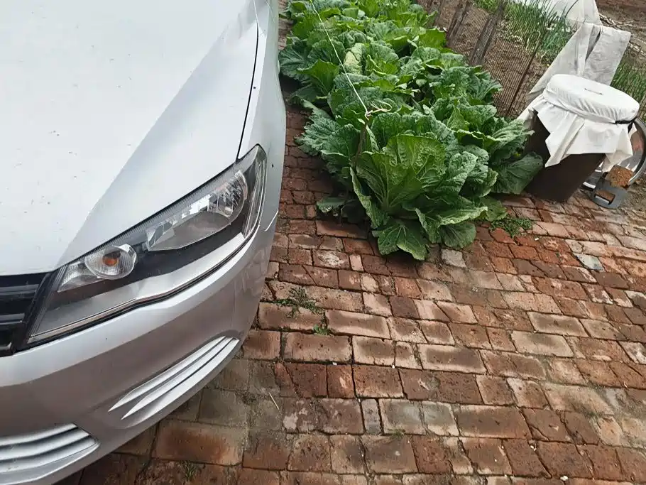 Volkswagen Jetta — миниатюра 5