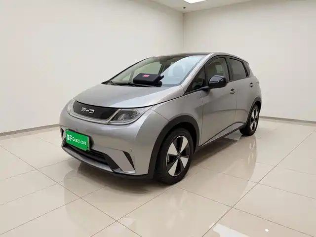2023 BYD Dolphin