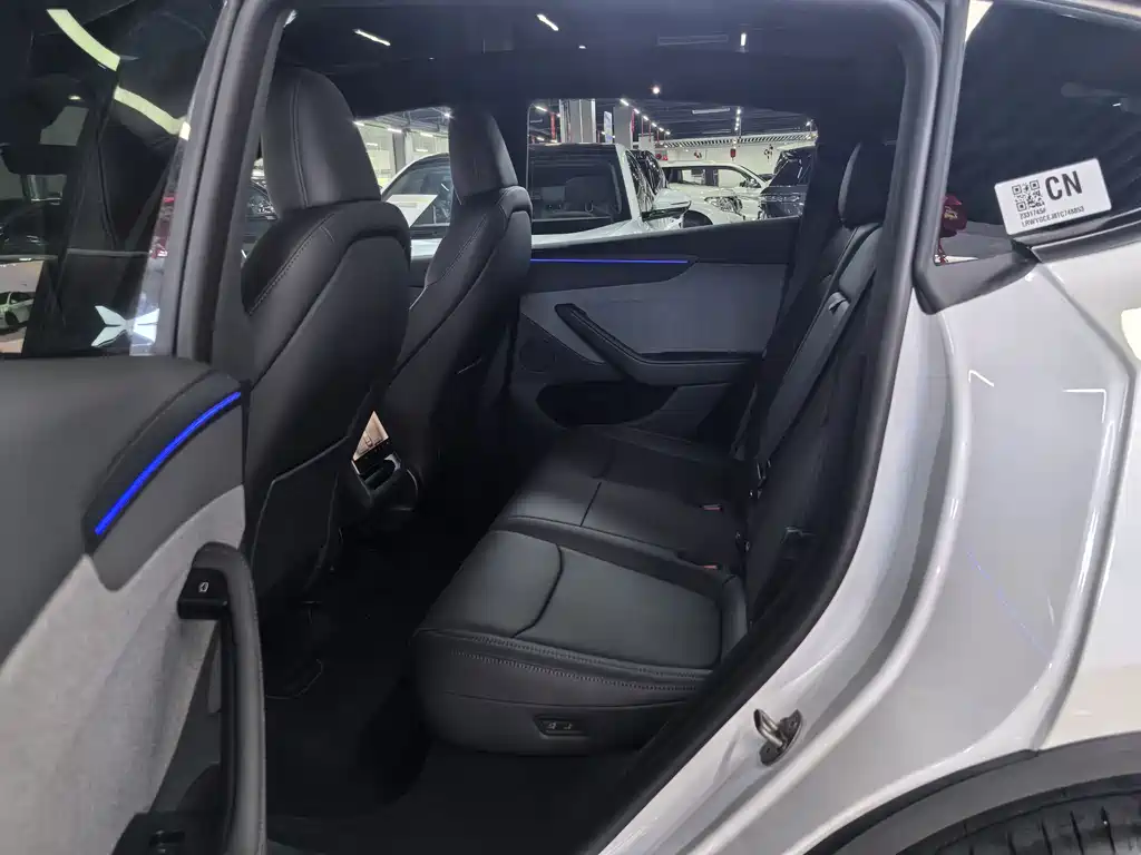 Tesla Model Y — миниатюра 6