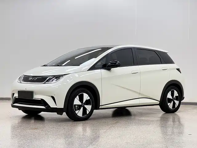 2023 BYD Dolphin