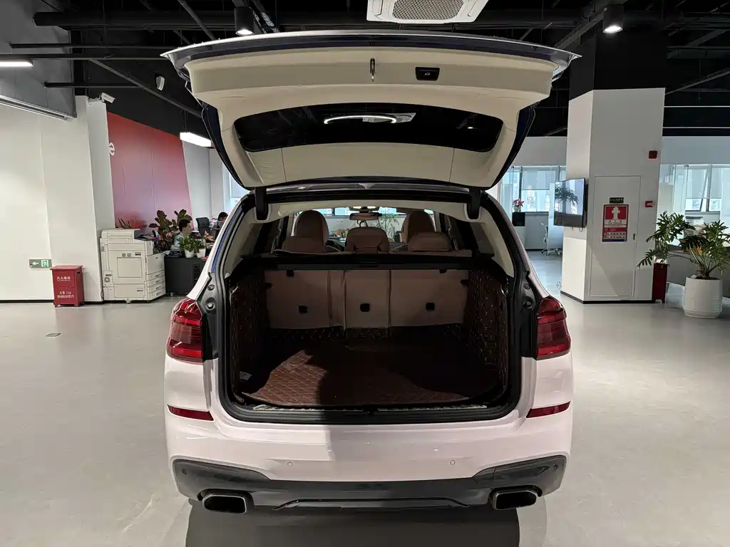 BMW X3 2018 xDrive25i M Sport VI