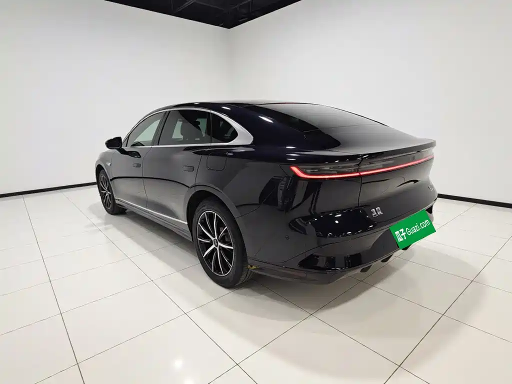 Voyah Passion 2024 PHEV Executive
