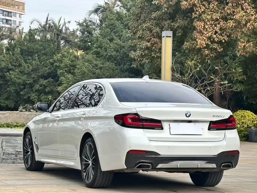 BMW 5 SERIES
