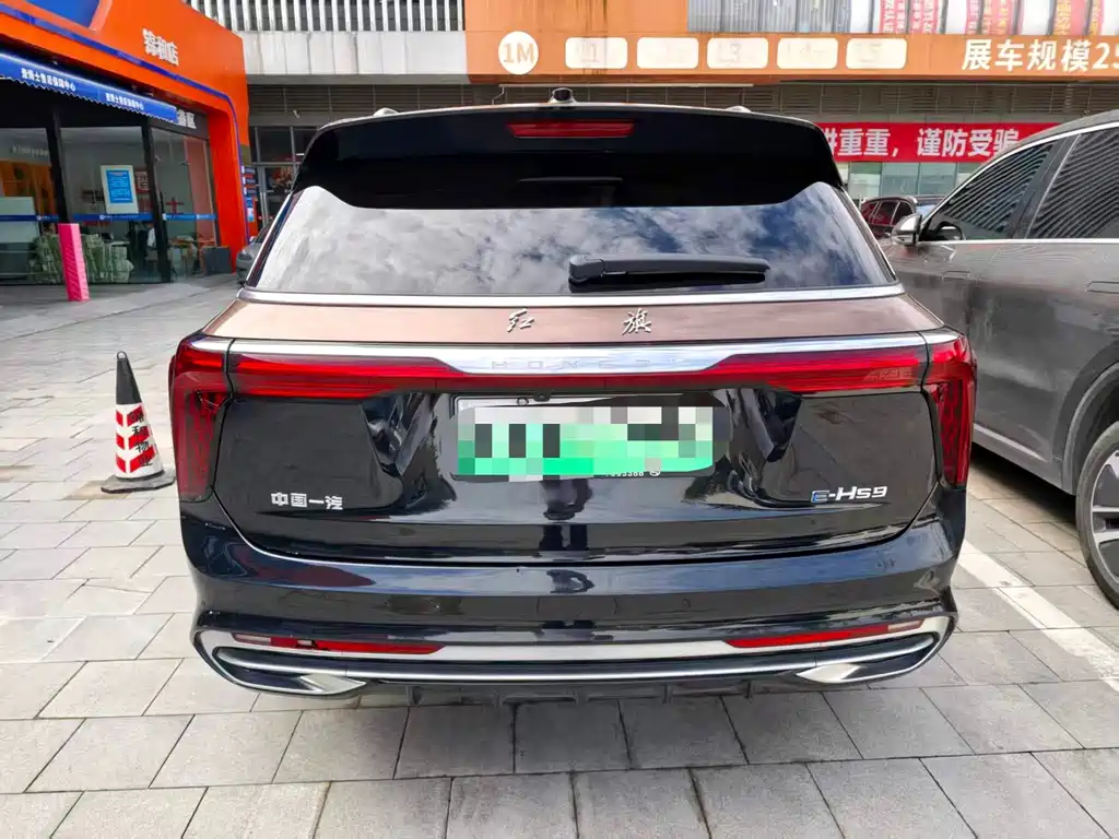 Hongqi Hongqi E-HS9 — миниатюра 13
