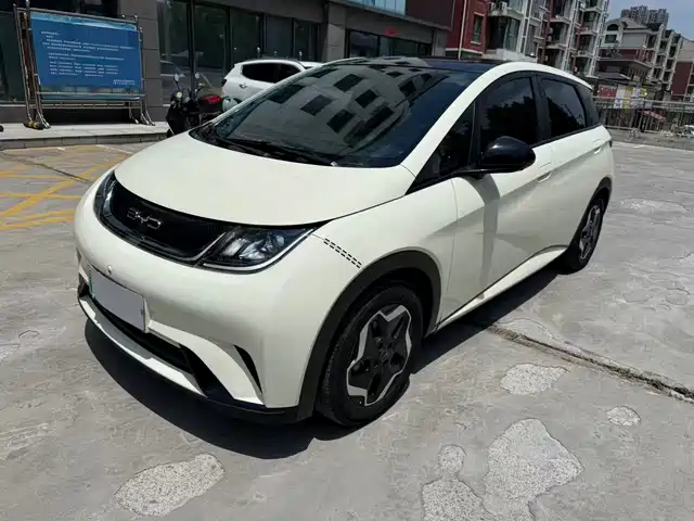 2022 BYD Dolphin