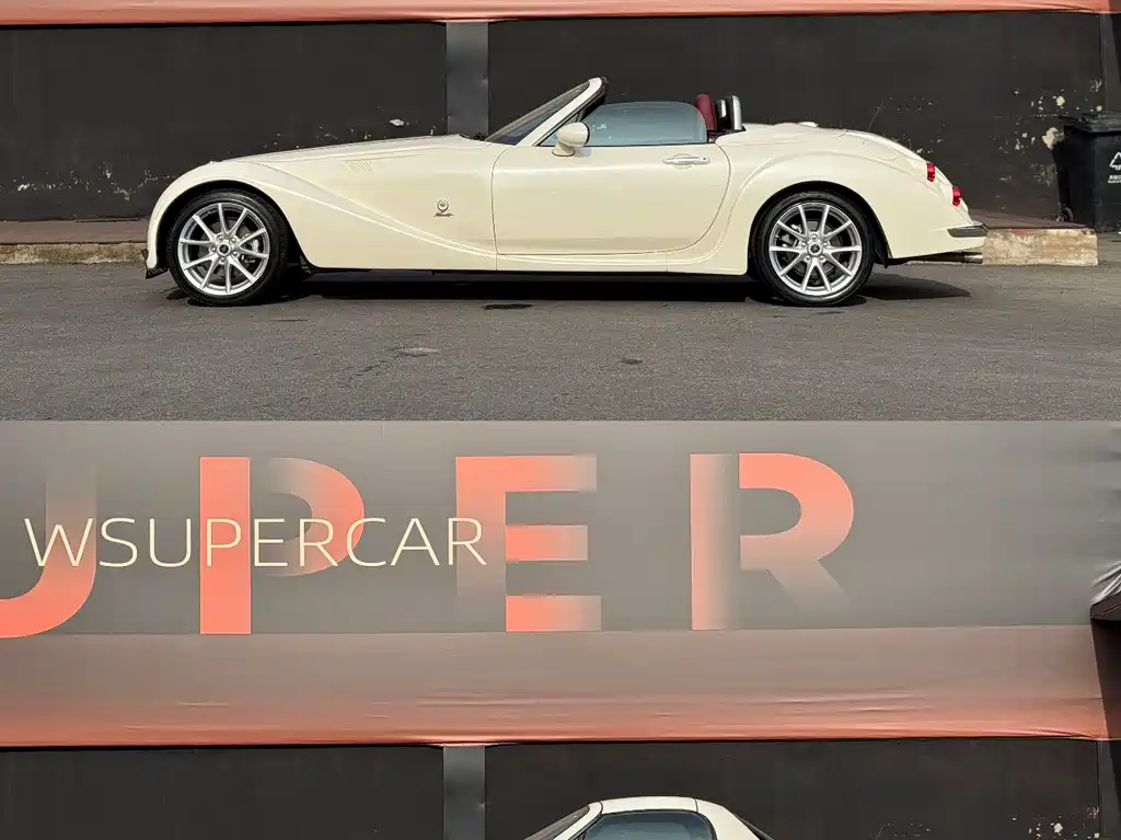 Mitsuoka Queen — миниатюра 21