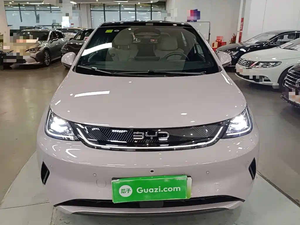 BYD Dolphin — миниатюра 3