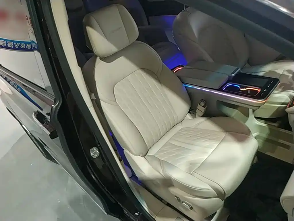 Buick GL8 — миниатюра 25