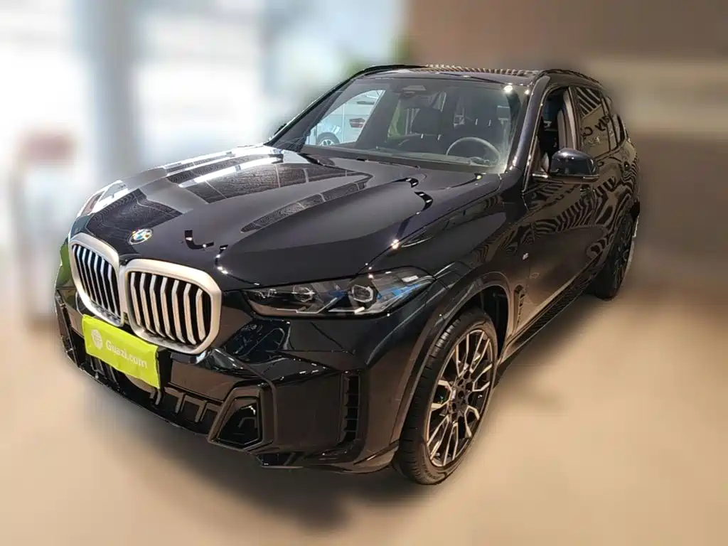 BMW X5 — миниатюра 3