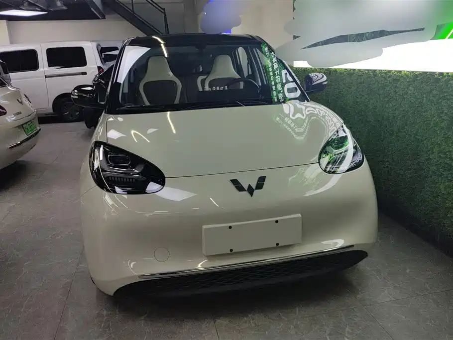 Wuling Binguo 2024 333km Enjoy