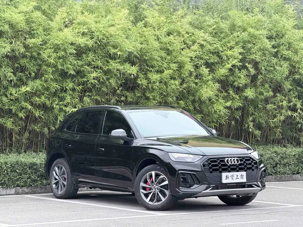 Audi Q5L — миниатюра 3