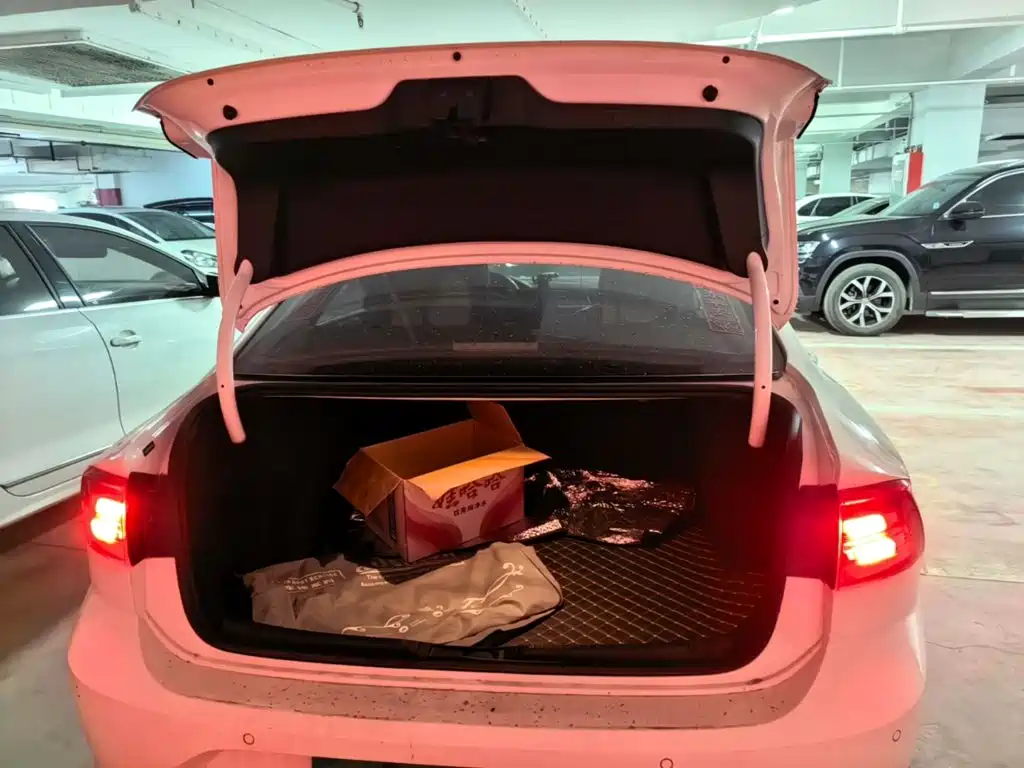 Volkswagen Lamando — миниатюра 15