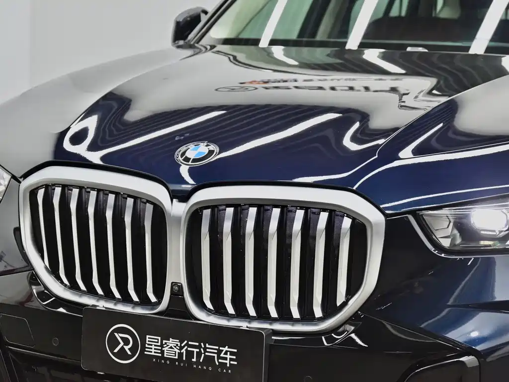 BMW X5 — миниатюра 29
