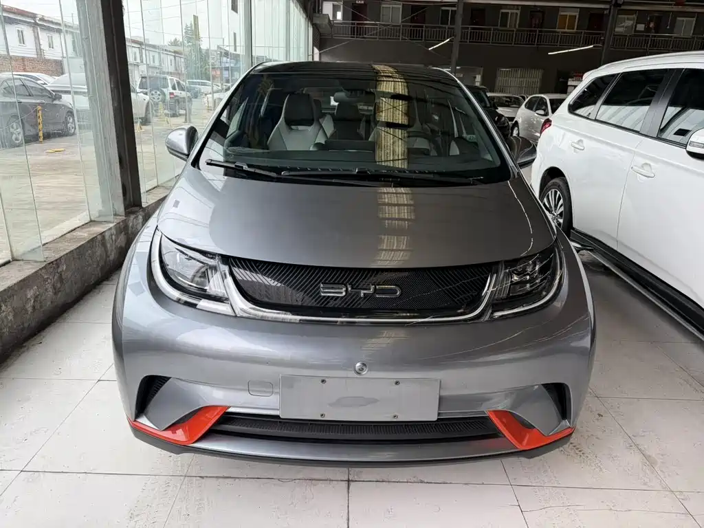 BYD Dolphin — миниатюра 2