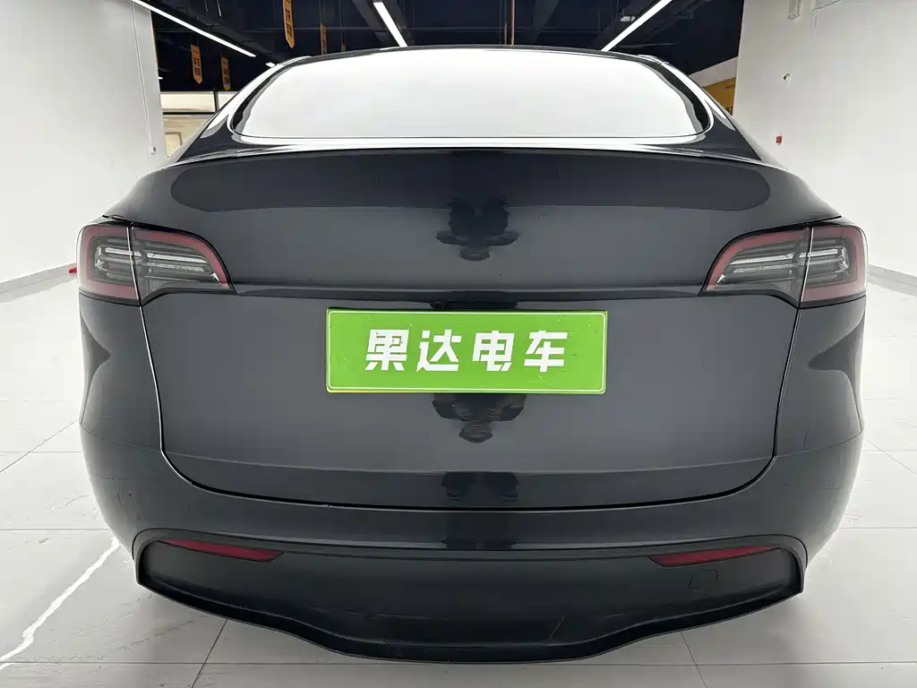 Tesla Model Y — миниатюра 7