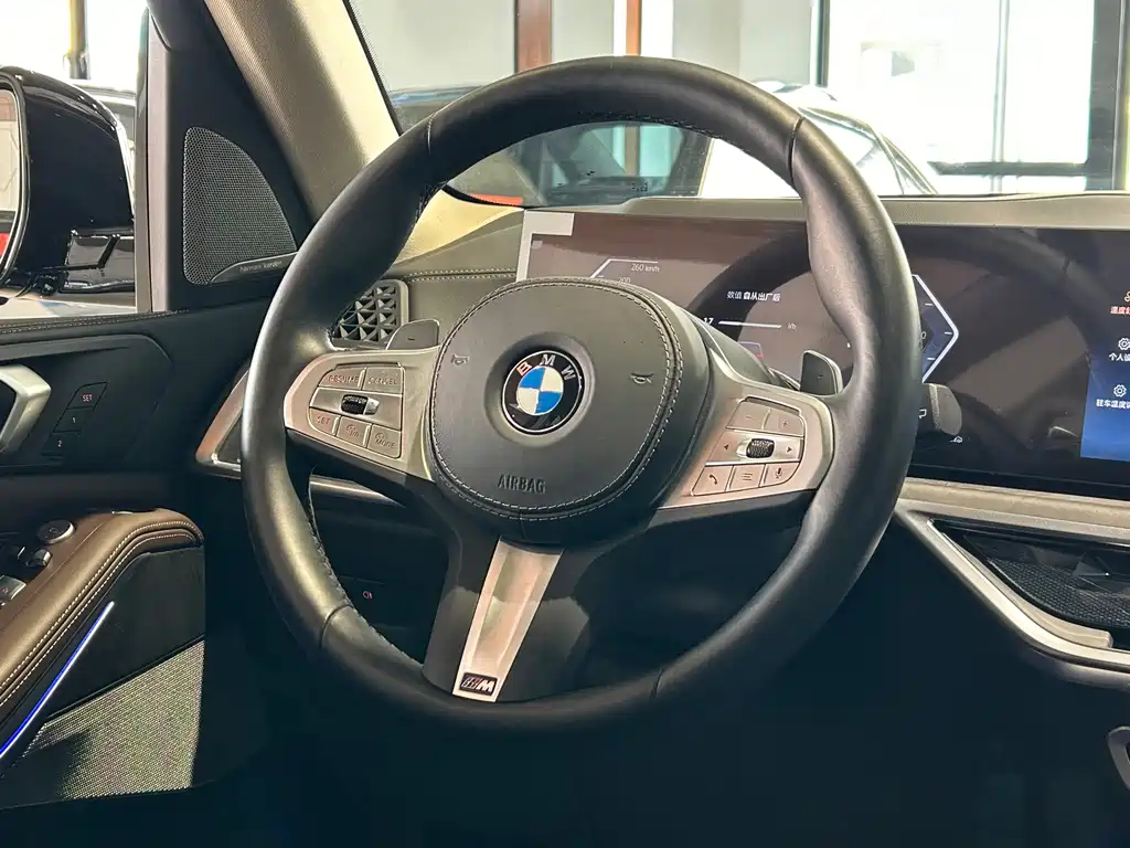 BMW X5 — миниатюра 25