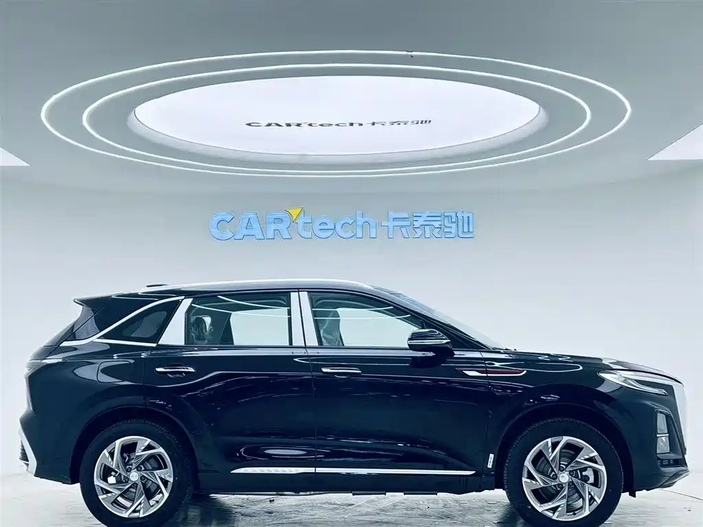 Hongqi H5 2025 2.0T AT