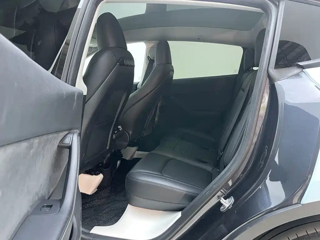 Tesla Model Y — миниатюра 10