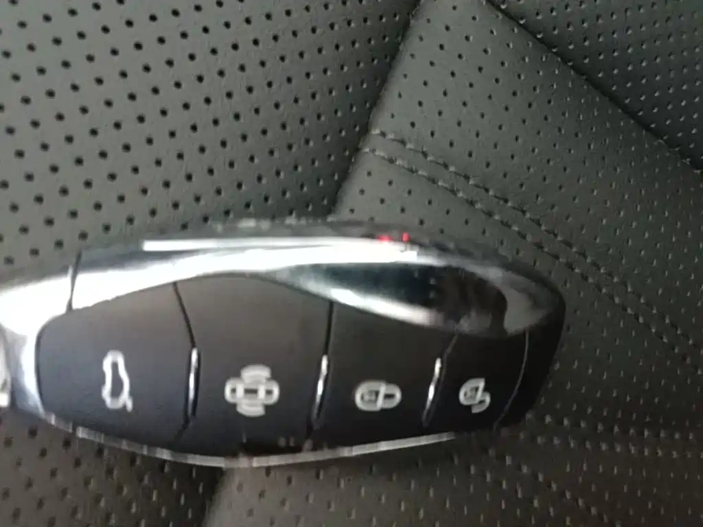 Hongqi HS7 PHEV 2024 2.0T PHEV 7 мест