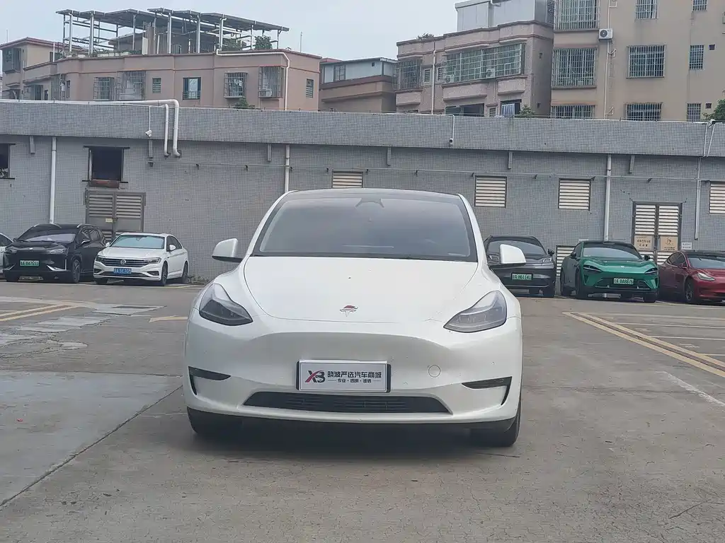 Tesla Model Y — миниатюра 2