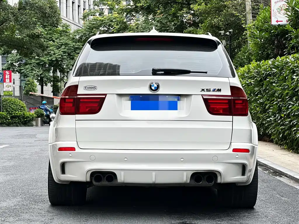 BMW X5 M 2010 X5 M