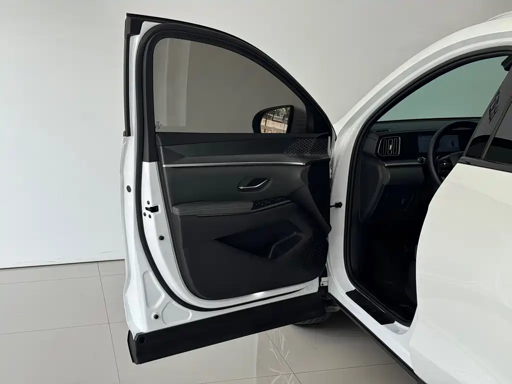 BYD Pro New Energy — миниатюра 13
