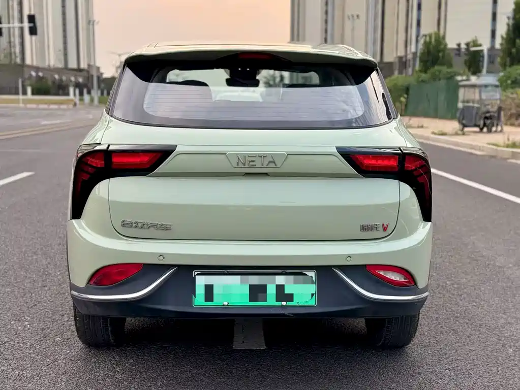 Neta Neta V — миниатюра 8
