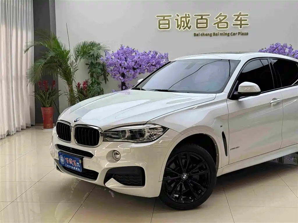 BMW X6 2019 xDrive35i M Sport