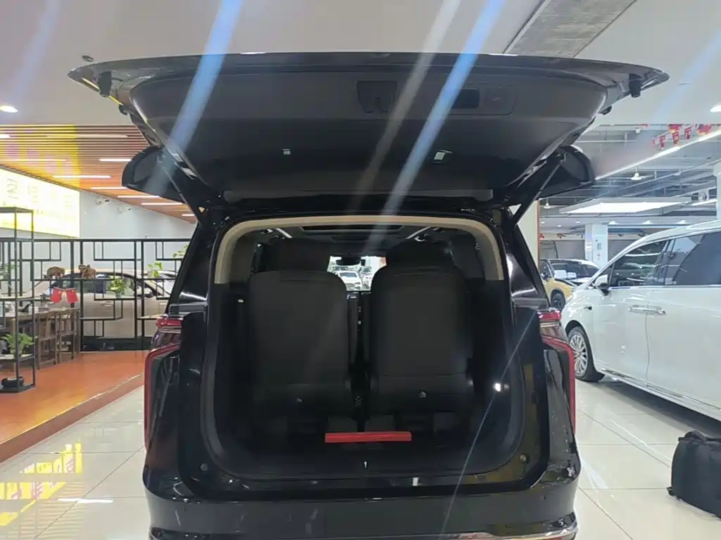 MAXUS Dajia 9 — миниатюра 19