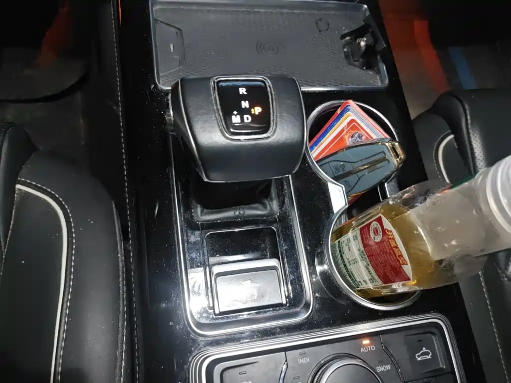 Hongqi Hongqi HS7 — миниатюра 15